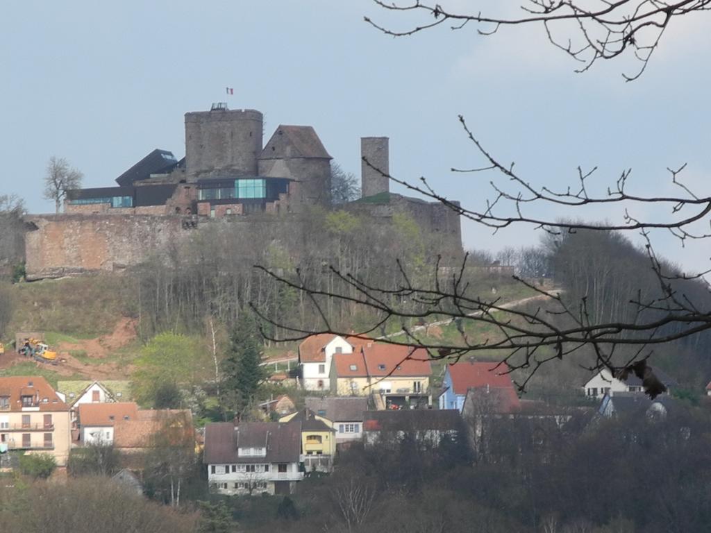 Au Pied Du Chateau Lichtenberg Værelse billede