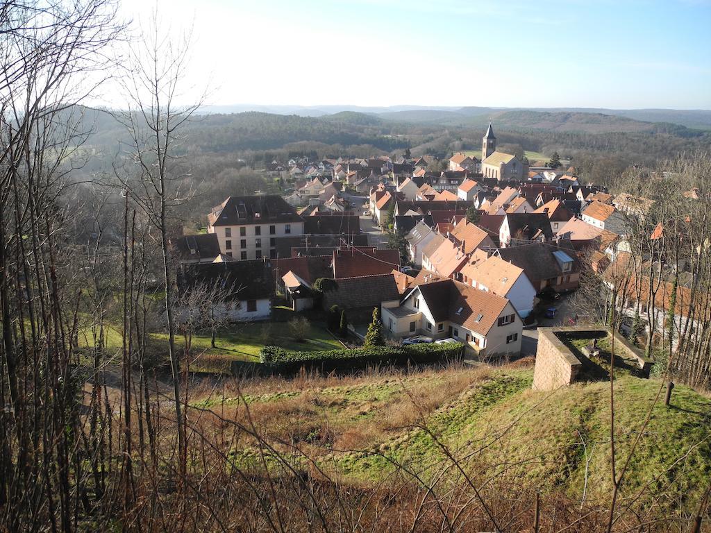 Au Pied Du Chateau Lichtenberg Værelse billede