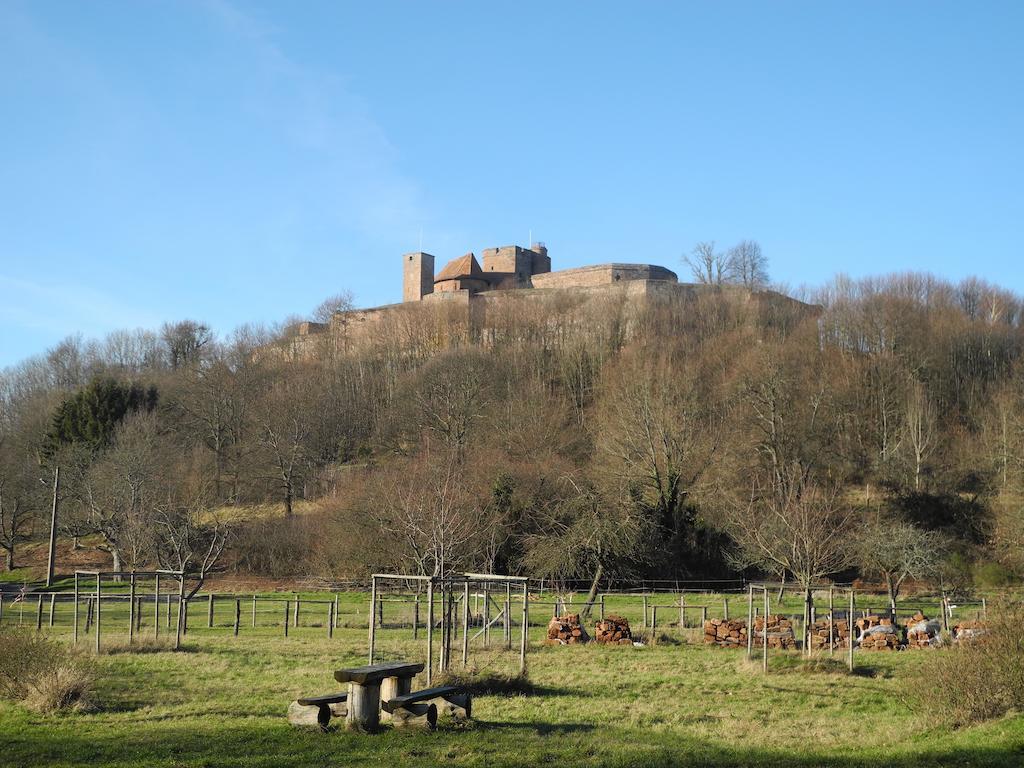 Au Pied Du Chateau Lichtenberg Værelse billede
